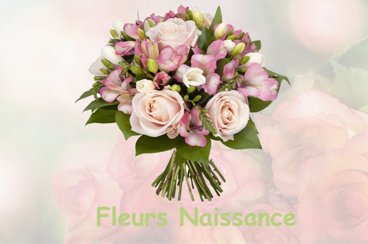 fleurs naissance LA-HAUTE-MAISON